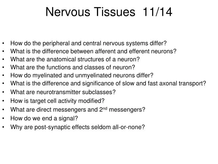 nervous tissues 11 14
