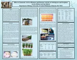 Effect of Jasmonic Acid on Biomass and Enzyme Activity in Switchgrass and Sorghum Jocelyn Bidlack and Jim Bidlack