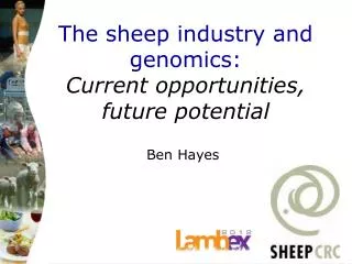 The sheep industry and genomics: Current opportunities, future potential