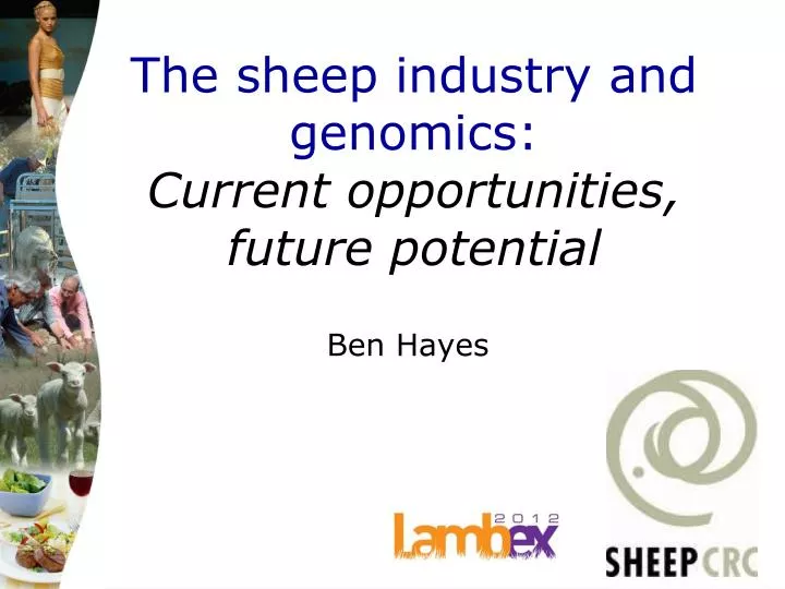 the sheep industry and genomics current opportunities future potential