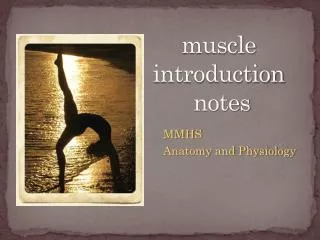 muscle introduction notes