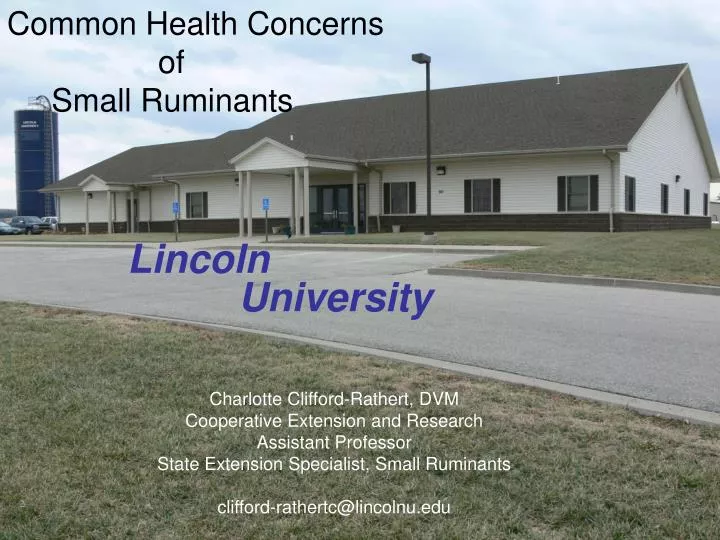 lincoln university