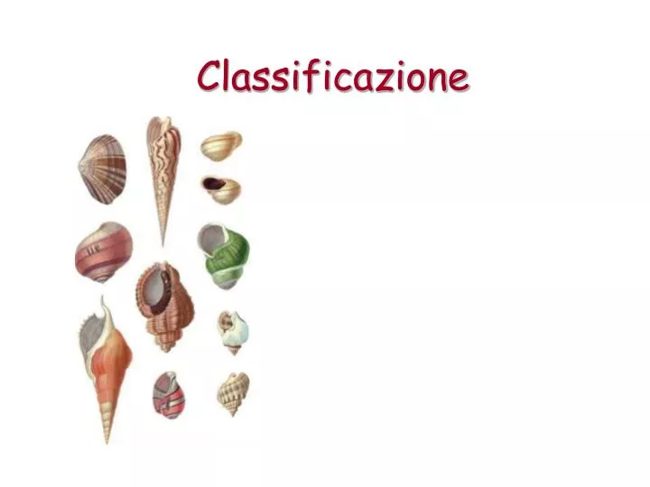 classificazione