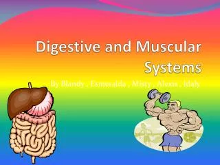 Digestive and Muscular Systems
