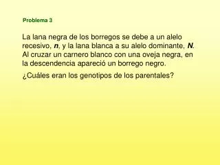 problema 3