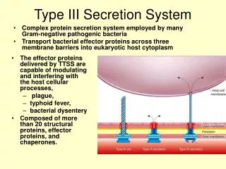 Type III Secretion System