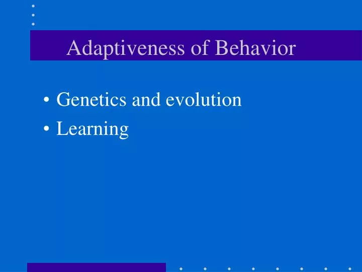 adaptiveness of behavior