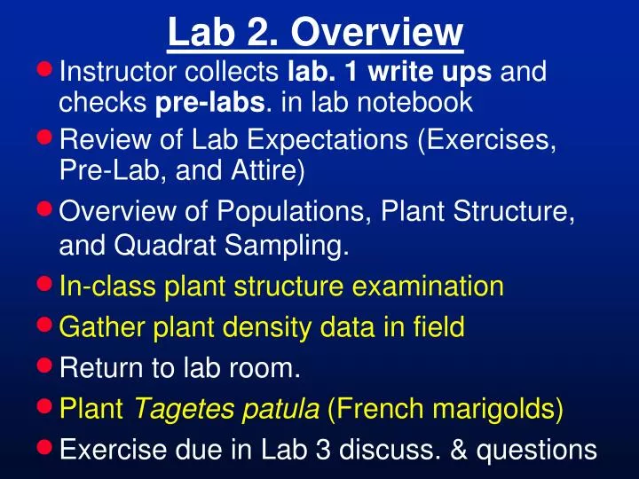 lab 2 overview