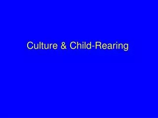 Culture &amp; Child-Rearing
