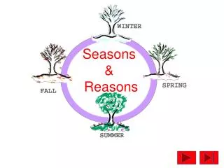 Seasons &amp; Reasons