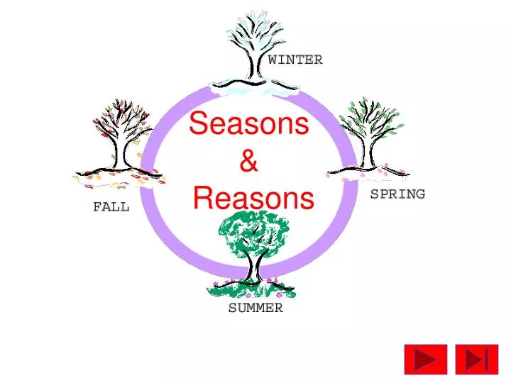 seasons reasons