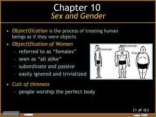 Objectification is the process of treating human beings as if they were objects Objectification of Women referred to as