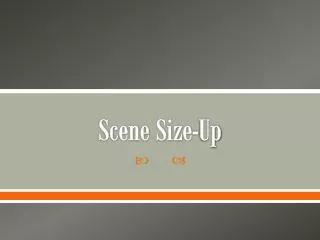 Scene Size-Up