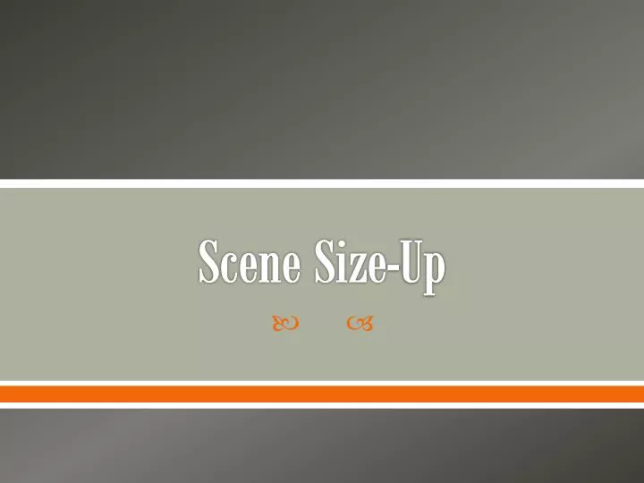 scene size up