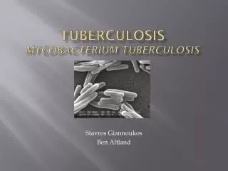 Tuberculosis Mycobacterium tuberculosis