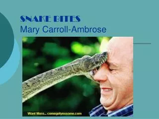 SNAKE BITES Mary Carroll-Ambrose