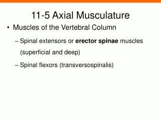 11-5 Axial Musculature