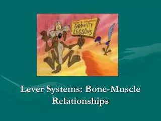 Lever Systems: Bone-Muscle Relationships