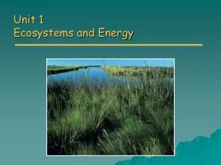 Unit 1 Ecosystems and Energy