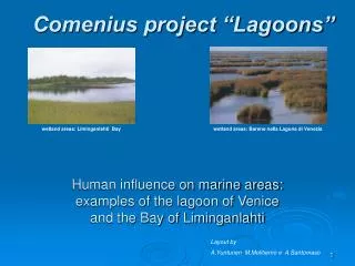 Human influence on marine areas: examples of the lagoon of Venice and the Bay of Liminganlahti