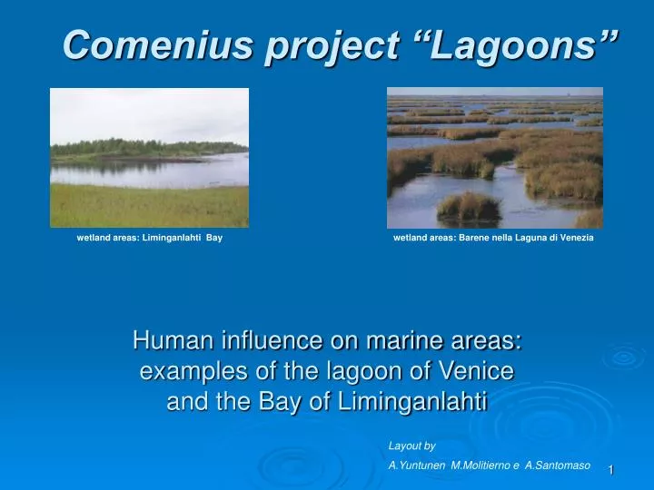 human influence on marine areas examples of the lagoon of venice and the bay of liminganlahti