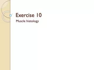 exercise 10