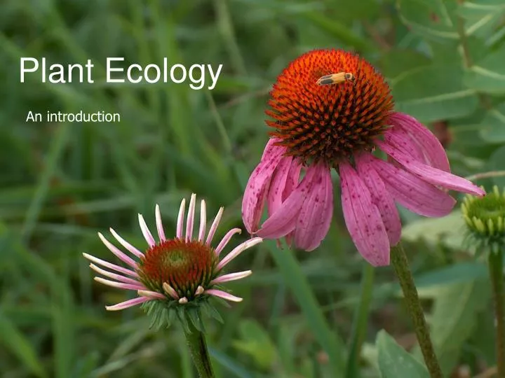 plant ecology