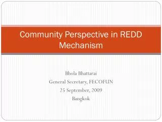Community Perspective in REDD Mechanism