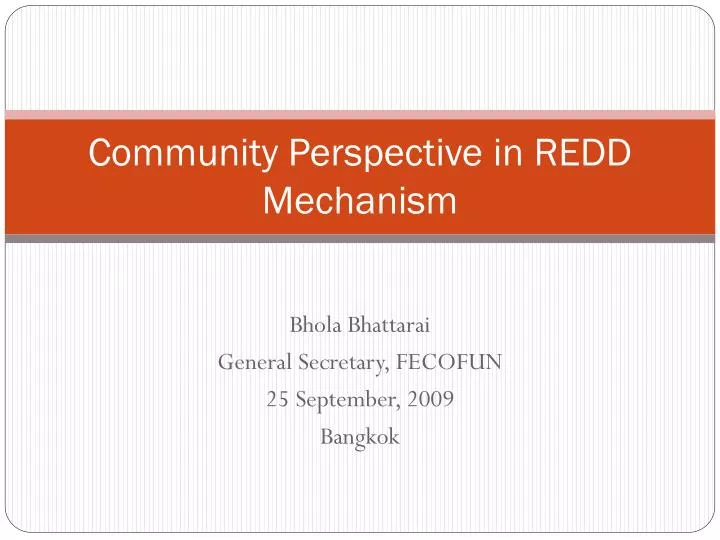 community perspective in redd mechanism