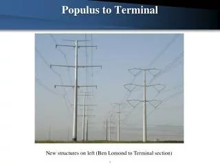 Populus to Terminal
