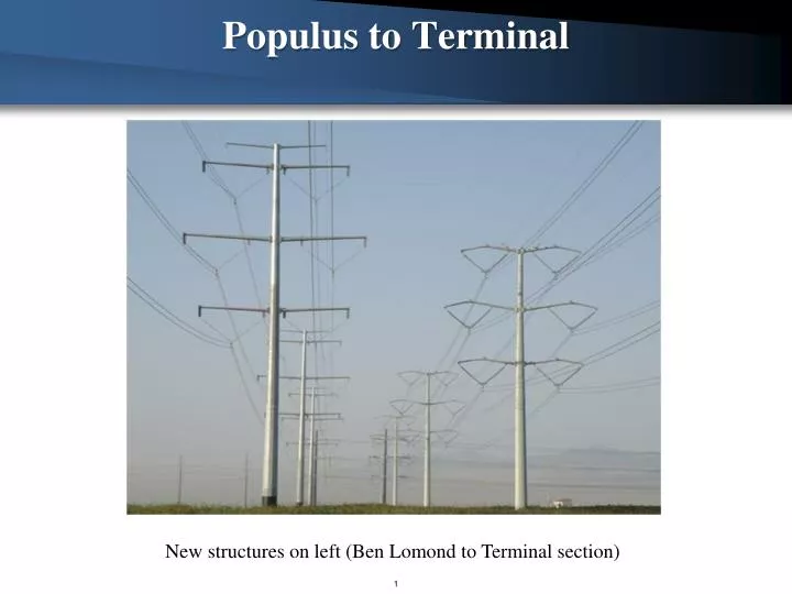 populus to terminal