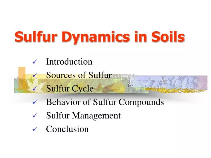 sulfur dynamics in soils