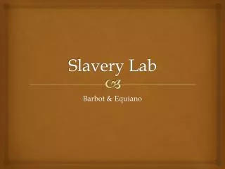 Slavery Lab