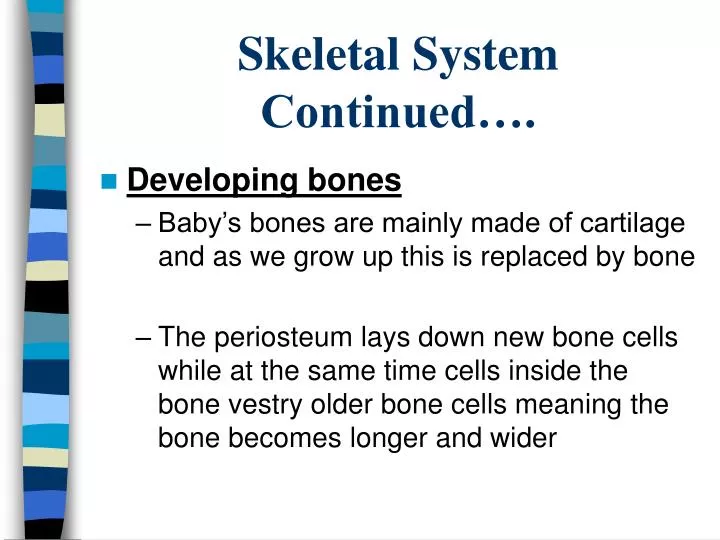 skeletal system continued