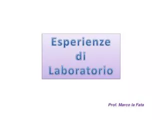 Esperienze di Laboratorio