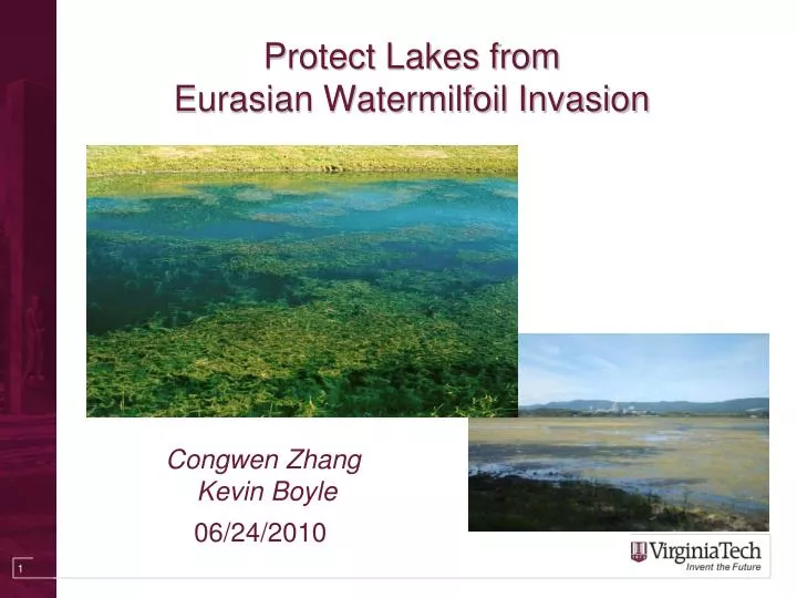 protect lakes from eurasian watermilfoil invasion