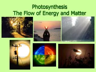 Photosynthesis The Flow of Energy and Matter