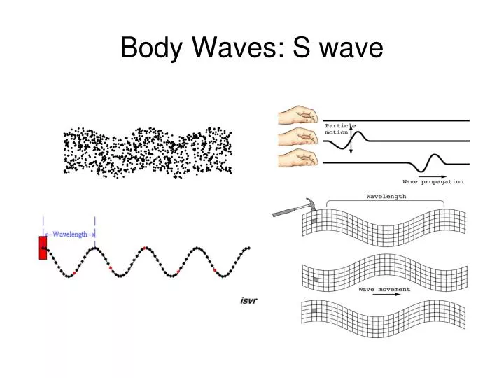 body waves s wave