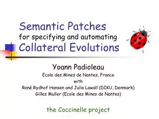 Semantic Patches for specifying and automating Collateral Evolutions