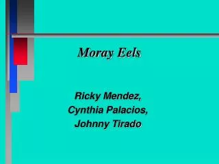Moray Eels