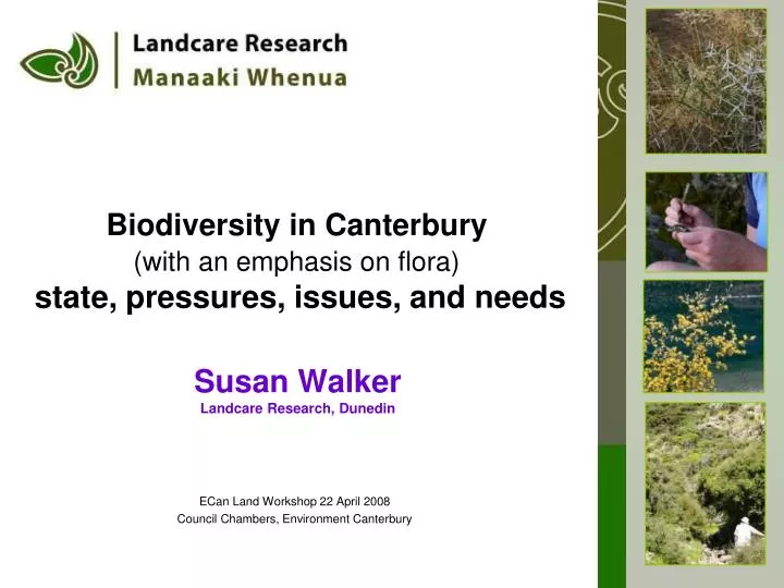 biodiversity in canterbury with an emphasis on flora state pressures issues and needs