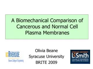 A Biomechanical Comparison of Cancerous and Normal Cell Plasma Membranes