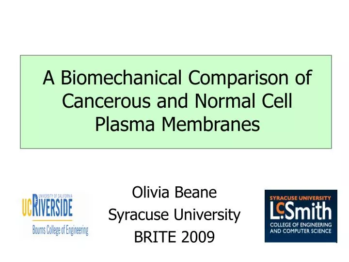 a biomechanical comparison of cancerous and normal cell plasma membranes