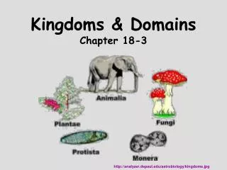 Kingdoms &amp; Domains Chapter 18-3