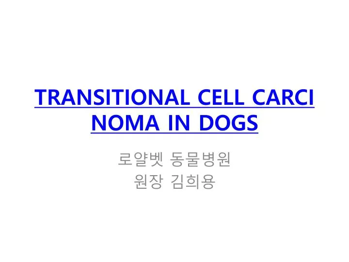 transitional cell carcinoma in dogs