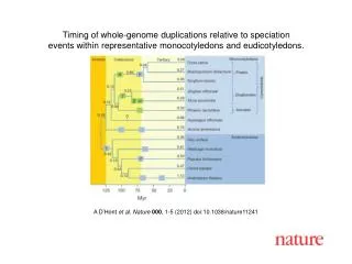 A D’Hont et al. Nature 000 , 1-5 (2012) doi:10.1038/nature11241