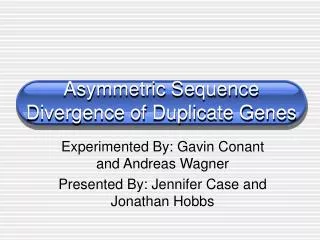 Asymmetric Sequence Divergence of Duplicate Genes