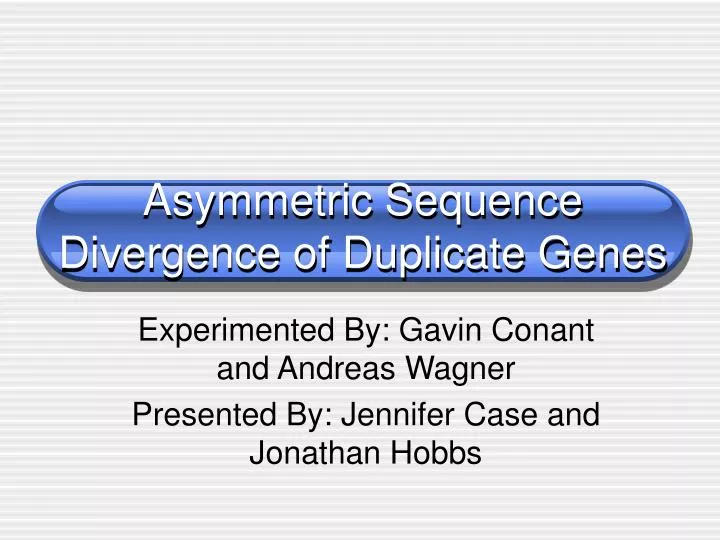 asymmetric sequence divergence of duplicate genes