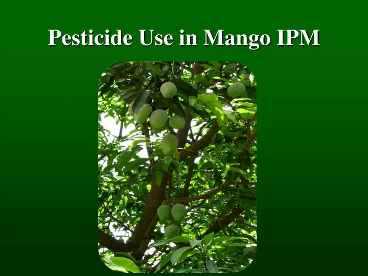 pesticide use in mango ipm