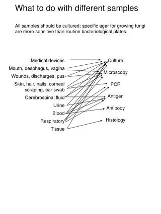 What to do with different samples All samples should be cultured; specific agar for growing fungi are more sensitive tha